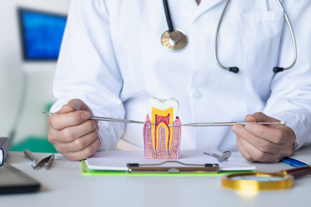 Best Emergency Dentist for Lost Fillings or Crowns in Far Hills, NJ